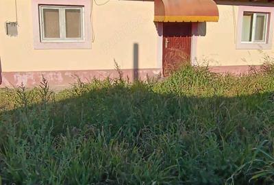 Casa de vanzare Conduratu Casa de vanzare Conduratu - 3