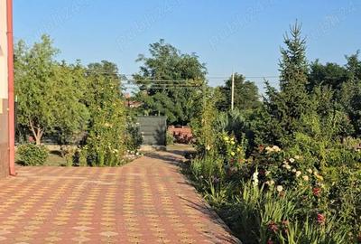 Casă cu 6 camere în Central - 4