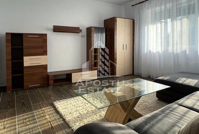Apartament cu 2 camere semidecomandat, mobilat în Micălaca - 1