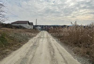 Teren intravilan cu utilita?i, zona Value Center Zalau, 7.4 ari - 1