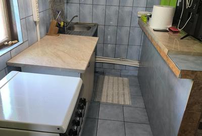 Casă cu 3 camere cu Teren 4700 Mp în Bohoghina - 4