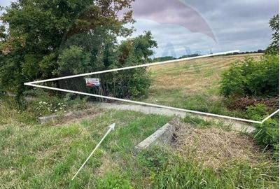 Teren Construcții intravilan de 5800 mp, în Agriș - 5