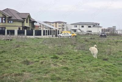 Teren de 500 mp, în Km 5