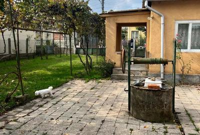 Vand casa in Simeria - 4