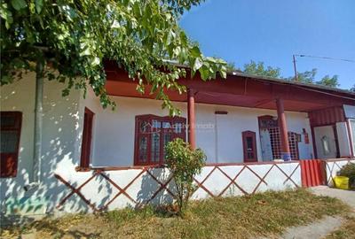 Casa Giurgiu- Ghimpati Sat Bila - 2