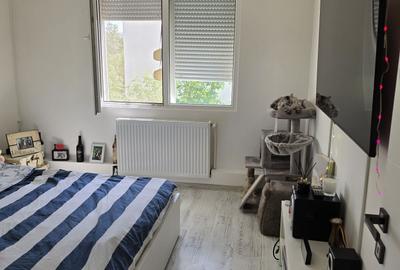 Apartament cu 3 camere decomandat în Dobroești - 2