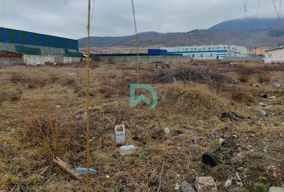 Vanzare teren intravilan, Codlea, Brasov - 6