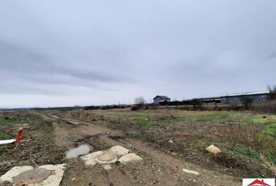 Teren de 12216 mp, în Vetiș - 4