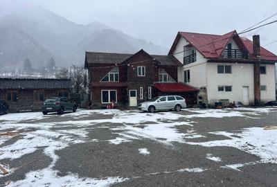 Teren de 26000 mp, în Proieni - 2