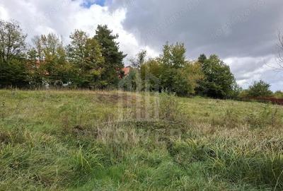 Teren de 509 mp, în Cisnădioara