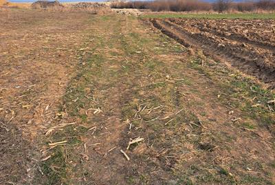 Spațiu comercial, în Marginea - 5