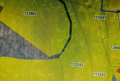 Teren intravilan de 24880 mp, în Griviței - 2