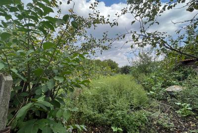 Comision 0 - Centru - Sanandrei - Teren 1850 mp + Casa 5 camere - 3