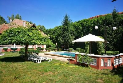 Casa 5 Camere  - Zona Snagov piscina si gradina matura - 3