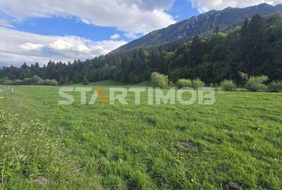 Teren intravilan Zarnesti Plaiul Foii - 10