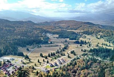 Teren Intravilan - 6