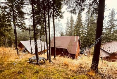 Casa de vacanta/Cabana cu 8 camere de in Paltinis - 3