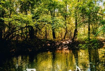 Teren Construcții intravilan de 800 mp, în Cocani - 1