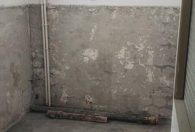 Toporasi, apartament 2 camere 46 utili, privat, 0 comision - 5