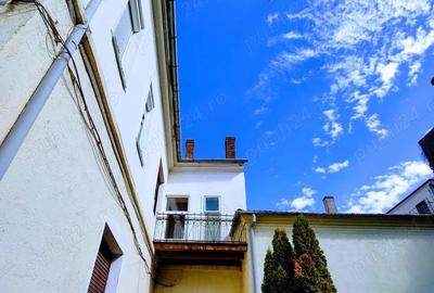 Casă cu 6 camere cu Teren 2883 Mp în Ultracentral - 1