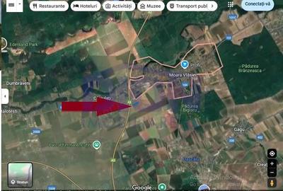 Teren Moara Vlasiei super pret, ideal pentru investitie - 3