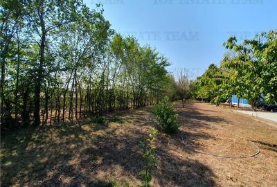 Teren intravilan agricol si teren curti constructii Lot 2 Parcela A326/49 Teren intravilan agricol si teren curti constructii Lot 2 Parcela A326/49 - 14