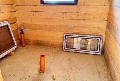 Casă cu 4 camere cu Teren 1500 Mp în Horea - 14