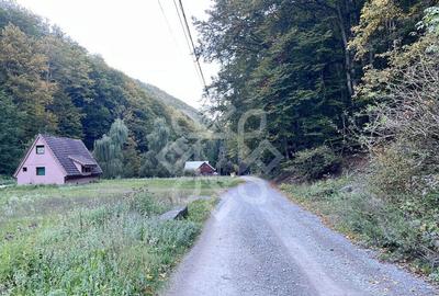 Teren pentru casa de vacanta pe Valea Bratcutei, Bihor - 3