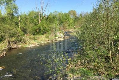 Teren de vanzare in reprezentare exclusiva, situat pe Valea Avrigului! - 9