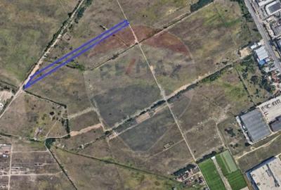 Teren 5,000mp Craiova / Strada Principala - 3