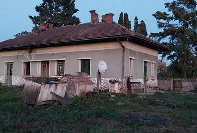 Casă cu 3 camere în Central - 13