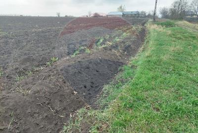 Teren agricol partial intravilan de vanzare in Filipesti jud. Bacau - 5