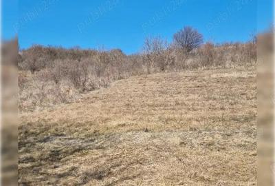 Teren de 1400 mp, în Cojocna - 1