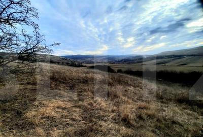 Teren intravilan 2900mp, situat in cartierul Sopor Teren intravilan 2900mp, situat in cartierul Sopor - 1