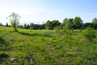 Teren 38,592mp Sighetu Marmatiei / Strada Mocanitei - 8