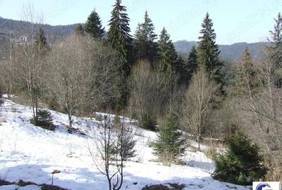 Teren situat in Predeal - 1