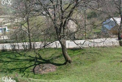 Teren de 3682 mp, în Măneciu - 8