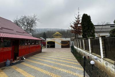 Casă cu 3 camere cu Canalizare în Gheorghe Doja - 12