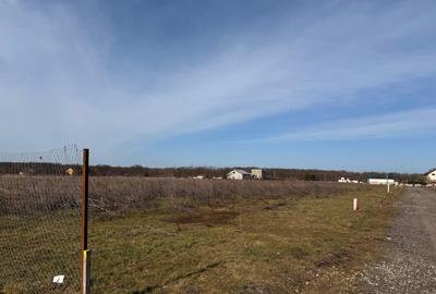 Teren Construcții intravilan de 450 mp, în Brănești