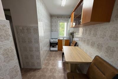 Dau in chirie apartament cu 2 camere Dambu pietros - 4