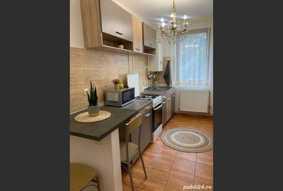 Apartment for sale with 1 Bedroom, Strada Victoriei, Baia Mare - 6