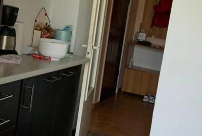 Inchiriez apartament ,parter inalt ,terezian zona str. daliei Inchiriez apartament ,parter inalt ,terezian zona str. daliei - 7