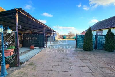 Casa individuala,independenta energetic, 5 camere,teren3783,Peciu Nou - 23