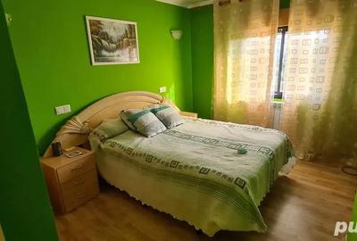 Casă cu 4 camere în Preluca Veche - 2