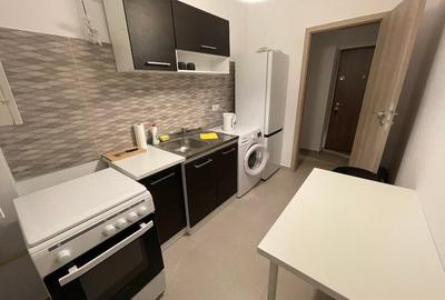 Apartament cu 2 camere decomandat, mobilat în Roșu - 5