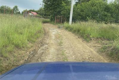 Teren de 3200 mp, în Rășinari - 6