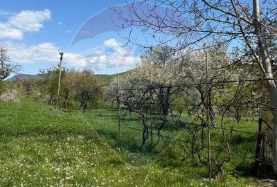 Casă individuală cu 3 camere cu Teren 3000 Mp în Cernești - 13