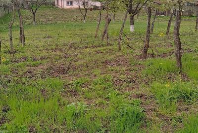 Casă cu 3 camere în Andrieșeni - 4