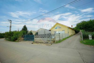 Casa de vanzare cu teren 517 mp, strada Izvorului, Oradea - 16