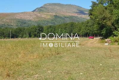 Spațiu comercial, în Runcu - 4